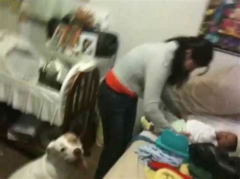 chicas follando con perros|Chica joven a solas con su perro